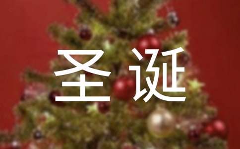 圣誕中的玩具總動(dòng)員作文2000字