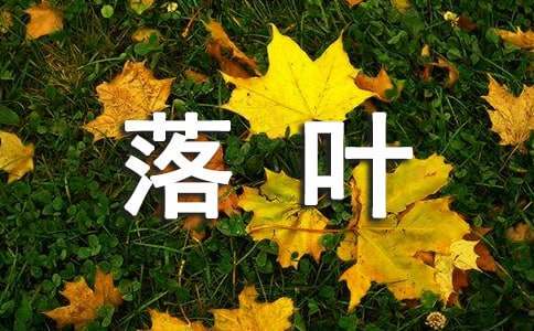 我要成為一片落葉作文一轉(zhuǎn)眼