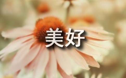 美好的回憶300字作文