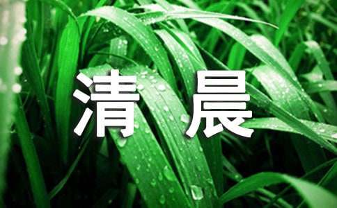 夏天的清晨作文 （通用15篇）