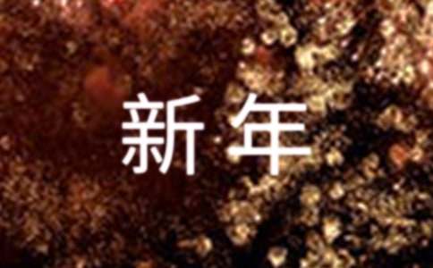 【精選】新年的作文500字23篇