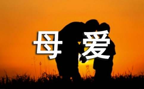 母愛作文800字（通用22篇）