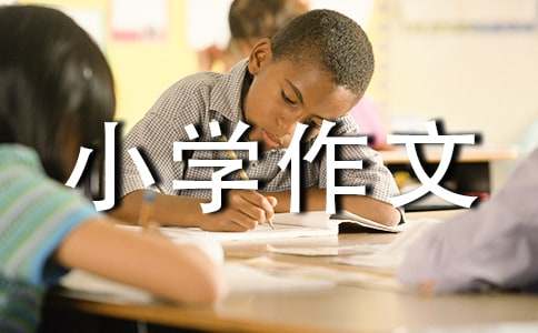 瑤琳仙境小學(xué)作文300字（通用24篇）