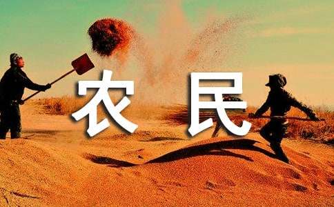 農(nóng)民外出務(wù)工情況調(diào)查報告