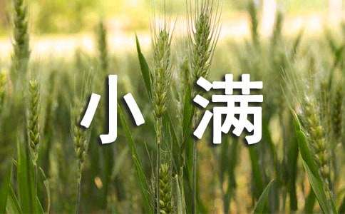 小滿快樂的祝詞大全50句