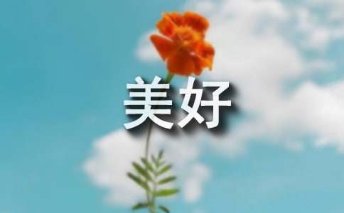 最美好的相遇作文800字（精選51篇）