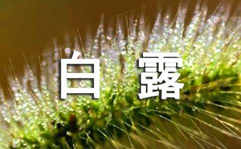 白露養(yǎng)生吃什么食譜