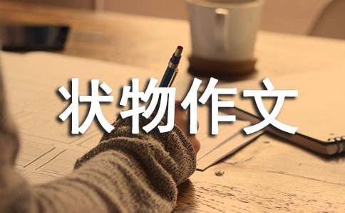 我的小陶罐狀物作文550字（精選14篇）