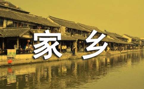 家鄉(xiāng)的燈籠樹作文500字（精選12篇）