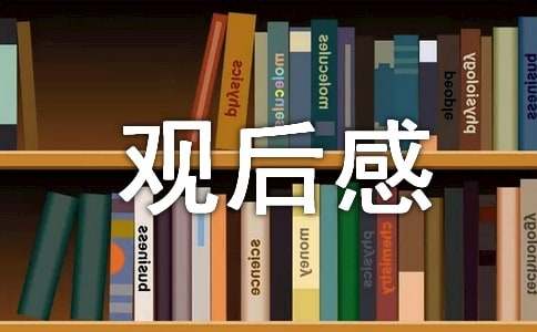 《大國(guó)工匠》觀后感