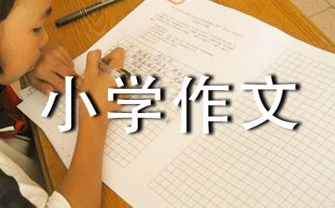 我?guī)Т蠹矣蚊分菅隳巷w小學(xué)作文800字