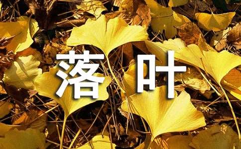 落葉的遐想作文（精選18篇）