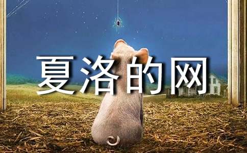 初中英語讀后感：夏洛的網(wǎng)（精選8篇）