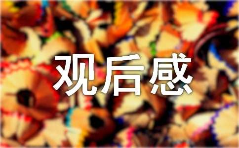 《我和我的祖國(guó)》觀后感450字（通用22篇）