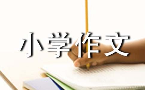 請到牛尾塘來小學(xué)作文（通用8篇）