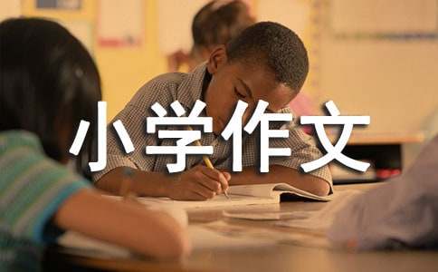 我和丑小鴨小學(xué)作文（精選20篇）