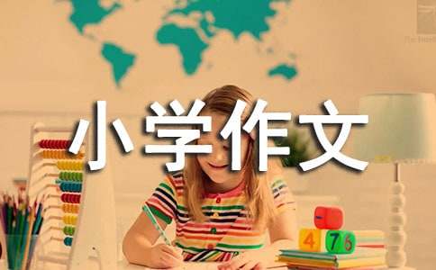 小學(xué)作文300字（通用42篇）