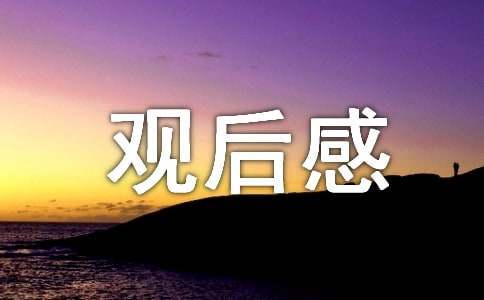 焚城觀后感（精選7篇）