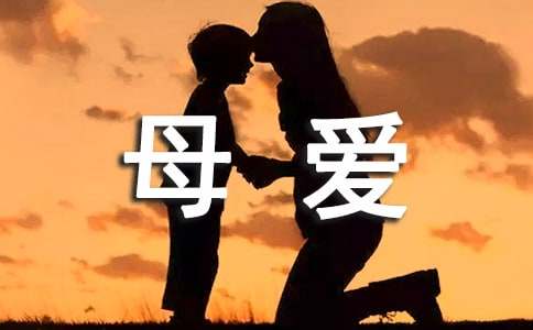 母愛深似海作文500字（精選22篇）