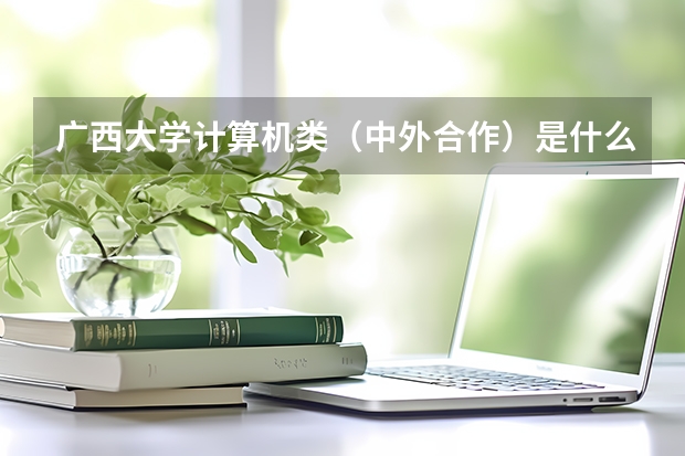 廣西大學(xué)計(jì)算機(jī)類(lèi)（中外合作）是什么，填志愿