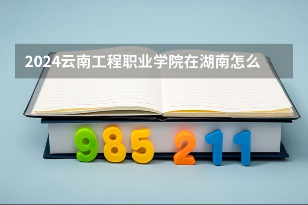 2024云南工程職業(yè)學(xué)院在湖南怎么招生的