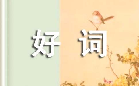 初中描寫神態(tài)好詞好句好段