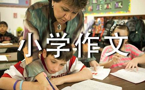 競選大隊長小學作文（通用20篇）